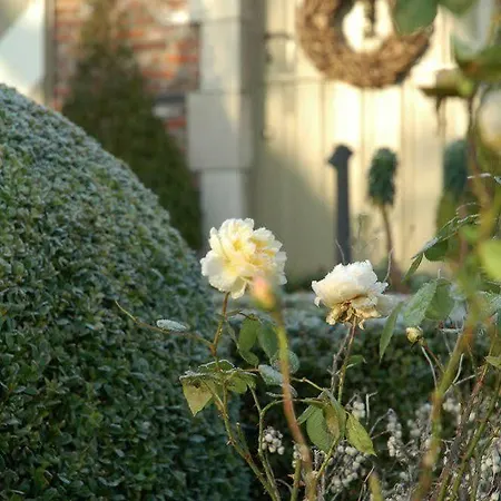 Wilgenhof ホテル
