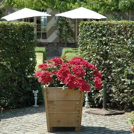 Wilgenhof 2*